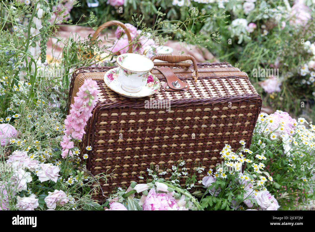 Chelsea in fioritura mostra di fiori a Londra Foto Stock