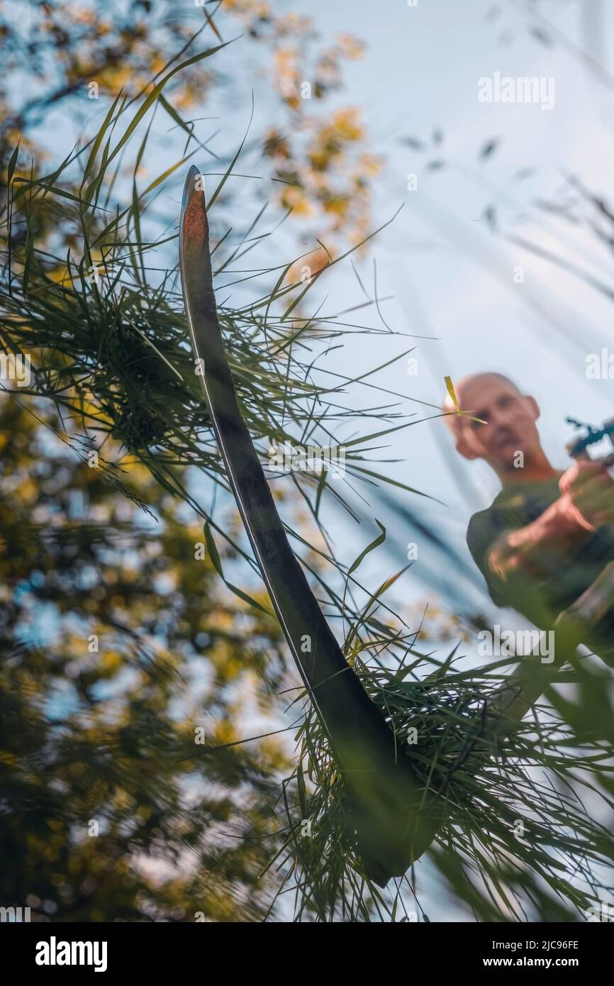 L'agricoltore maschio falcia l'erba con una vecchia falce Foto Stock