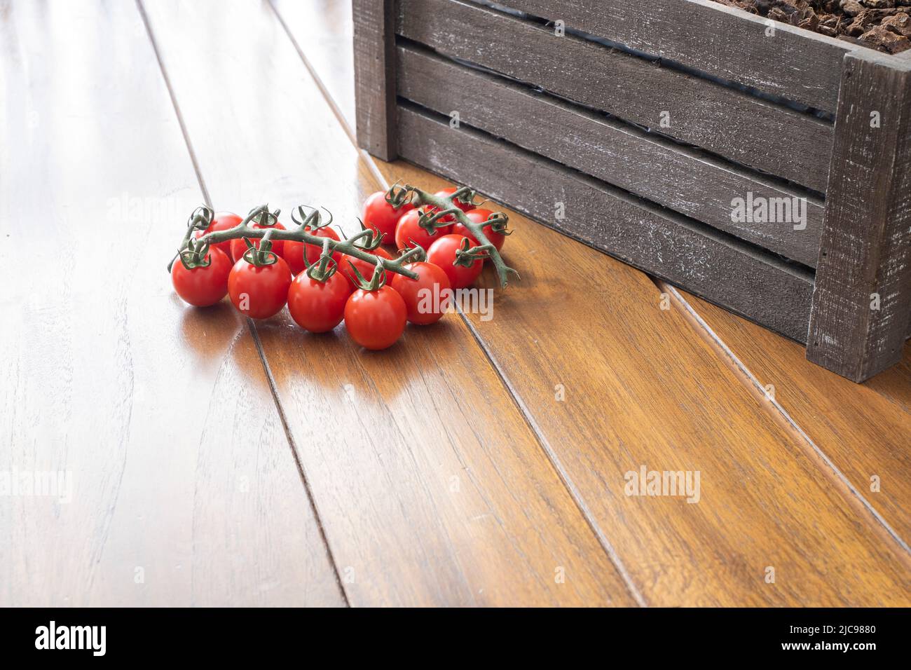 un mazzetto di pomodori ciliegini sul ramo, su un tavolo di legno, insieme ad una scatola di legno scuro con terreno, giardinaggio urbano, coltivazione sostenibile del pomodoro Foto Stock