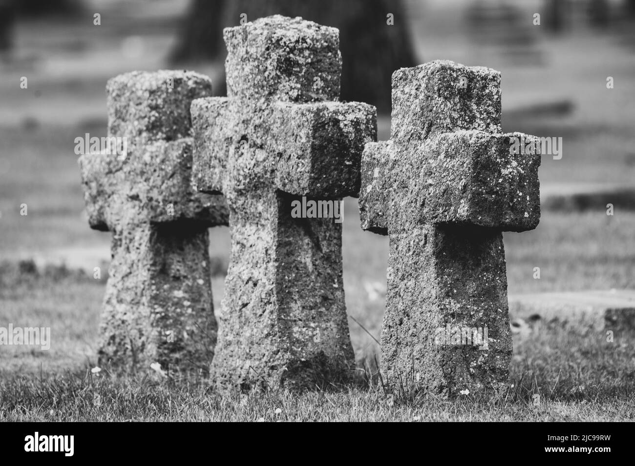 Yper, Belgio - 7 agosto 2021. Dettaglio dei monumenti di guerra al cimitero di Langemark. Langemark è il più famoso cimitero tedesco di prima guerra mondiale in Belgio. Foto Stock