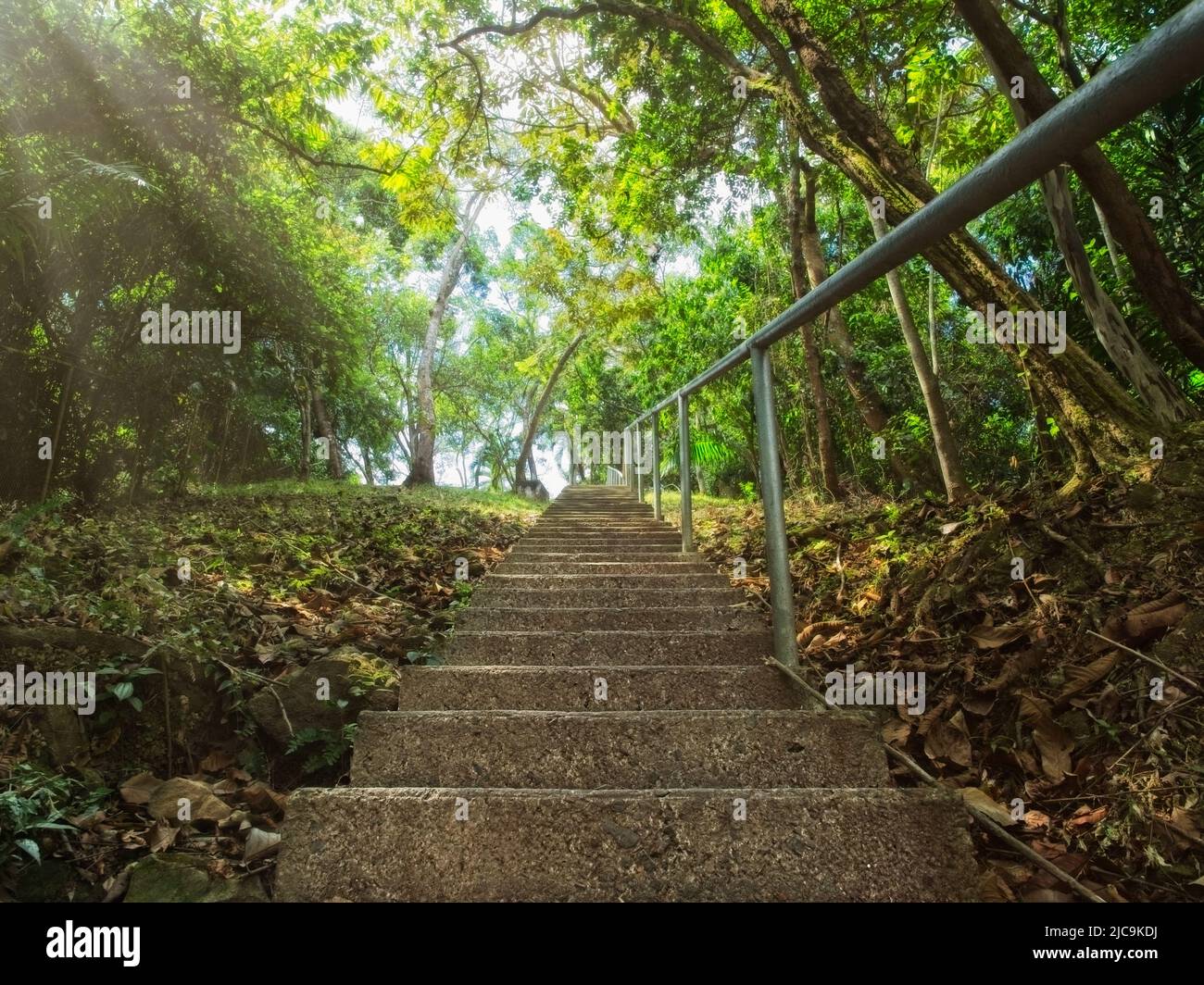 Scale che conducono alla cima di un punto panoramico Foto Stock