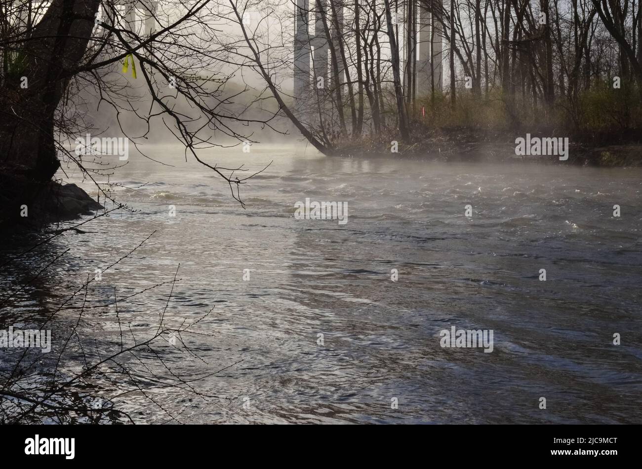 Nebbia su un fiume in una foresta in una mattina fredda, Ohio USA Foto Stock