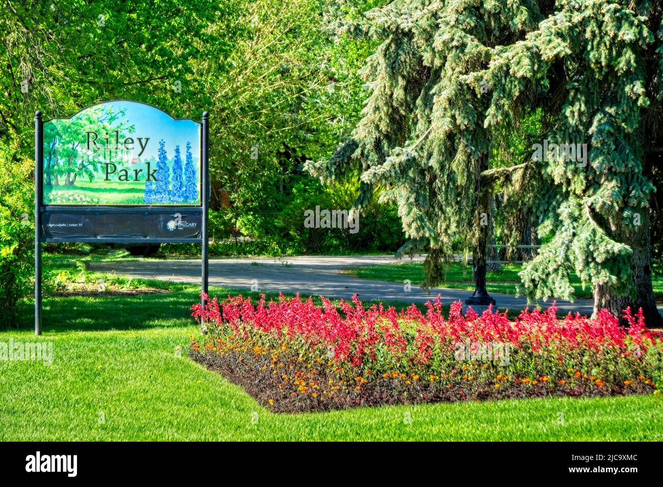 Riley Park Calgary Alberta Foto Stock