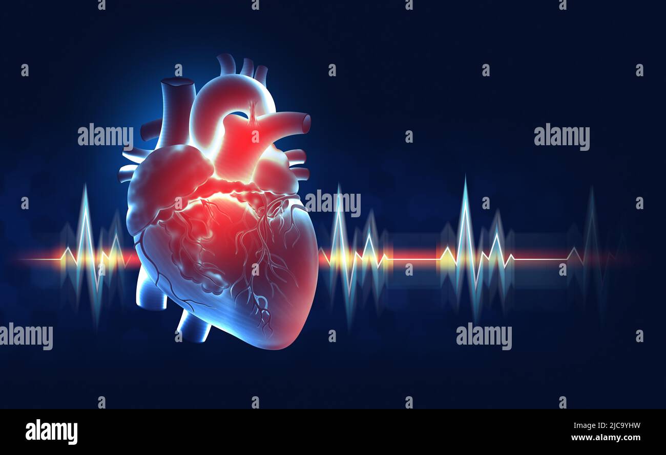 Allenamento cardio. Illustrazione di Human Heart 3D. Polso, battito cardiaco. Stress cardiaco. Illustrazione medica raggi X. Foto Stock