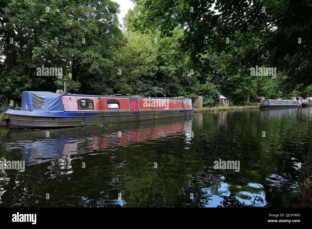 Situato tra il fiume Colne e il fiume Frays, Il lago Little Britain è un rifugio sicuro per una varietà di uccelli acquatici e un posto incantevole per una passeggiata estiva. Il grande canale Union è a meno di 10 minuti a piedi dal lago e offre chilometri di sentieri rurali con percorsi panoramici e barche da tutto il mondo a. vedere . Foto Stock