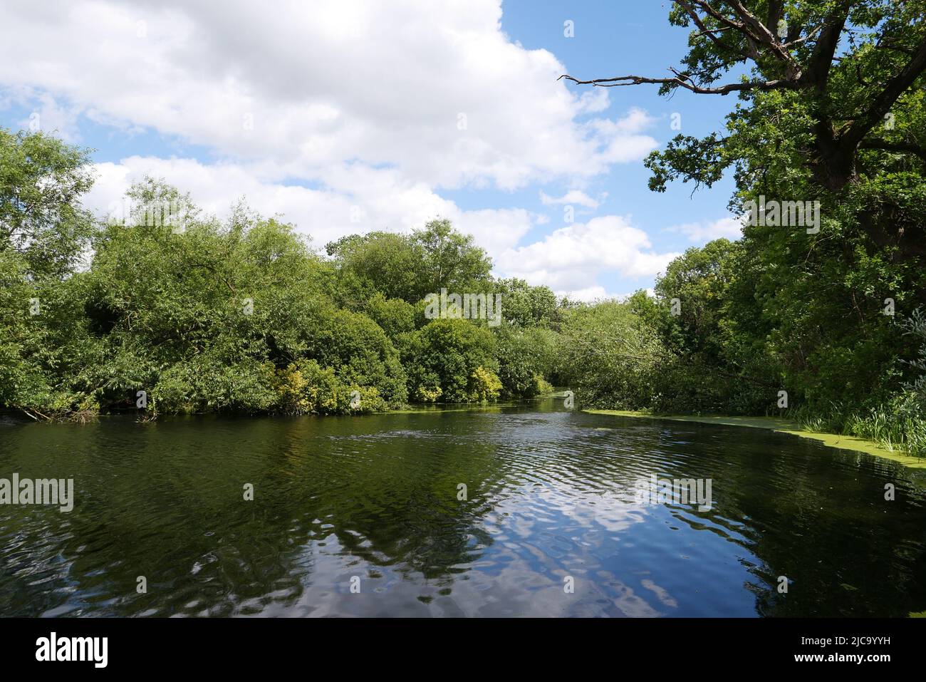 Situato tra il fiume Colne e il fiume Frays, Il lago Little Britain è un rifugio sicuro per una varietà di uccelli acquatici e un posto incantevole per una passeggiata estiva. Il grande canale Union è a meno di 10 minuti a piedi dal lago e offre chilometri di sentieri rurali con percorsi panoramici e barche da tutto il mondo a. vedere . Foto Stock