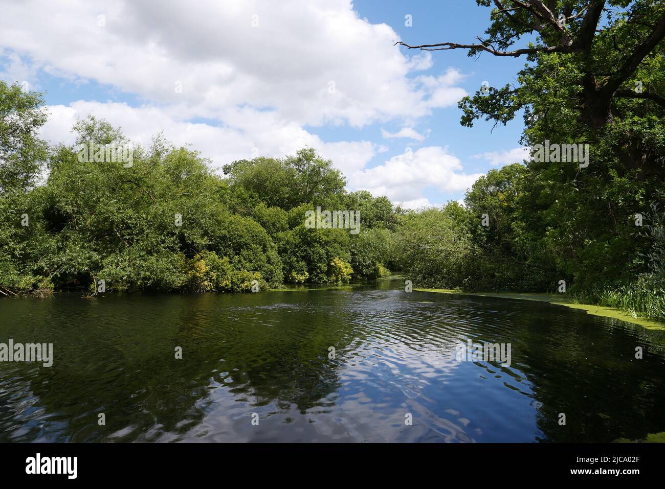 Situato tra il fiume Colne e il fiume Frays, Il lago Little Britain è un rifugio sicuro per una varietà di uccelli acquatici e un posto incantevole per una passeggiata estiva. Il grande canale Union è a meno di 10 minuti a piedi dal lago e offre chilometri di sentieri rurali con percorsi panoramici e barche da tutto il mondo a. vedere . Foto Stock