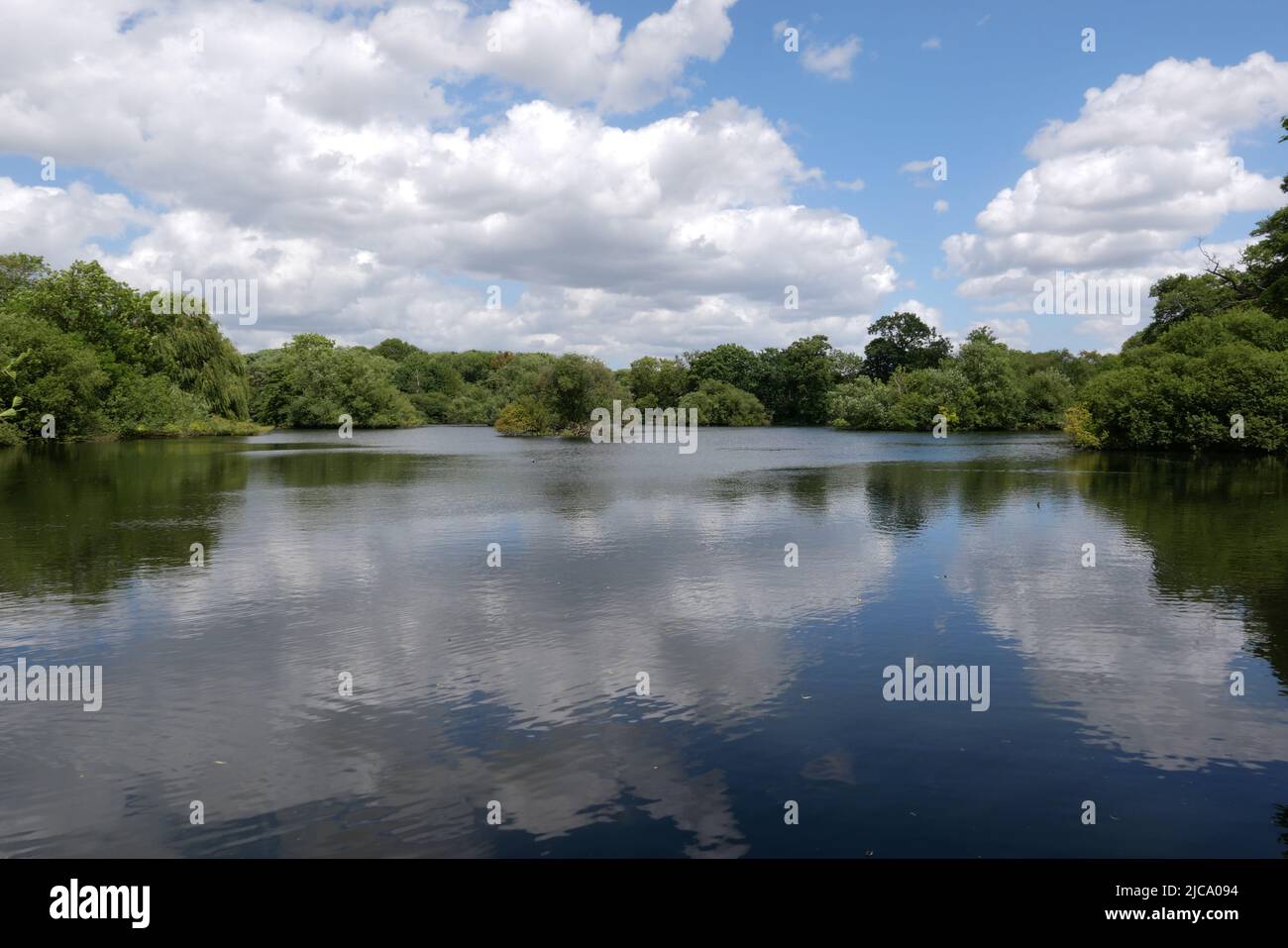 Situato tra il fiume Colne e il fiume Frays, Il lago Little Britain è un rifugio sicuro per una varietà di uccelli acquatici e un posto incantevole per una passeggiata estiva. Il grande canale Union è a meno di 10 minuti a piedi dal lago e offre chilometri di sentieri rurali con percorsi panoramici e barche da tutto il mondo a. vedere . Foto Stock