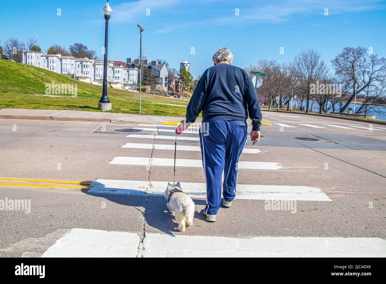 Un uomo e il suo cane - Westie - attraversare la strada a crosswalk vicino fiume in Tulsa Oklahoma - fuoco selettivo Foto Stock