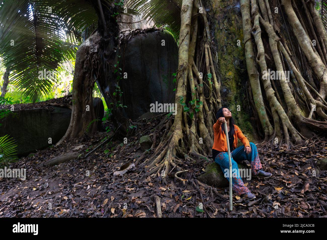 Donna trekking nel nord della Thailandia foresta pluviale è seduto vicino a una forma naturale elefante silhouette fatta da una roccia e un albero. Foto Stock