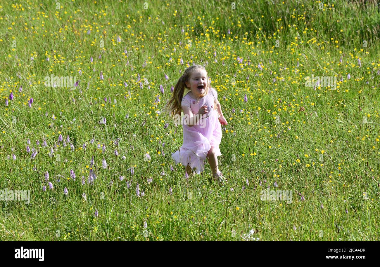 Bambina che gioca in un prato di fiori e erbe selvatiche, tra cui migliaia di orchidee selvatiche sulla riserva naturale Lodge Field Foto Stock