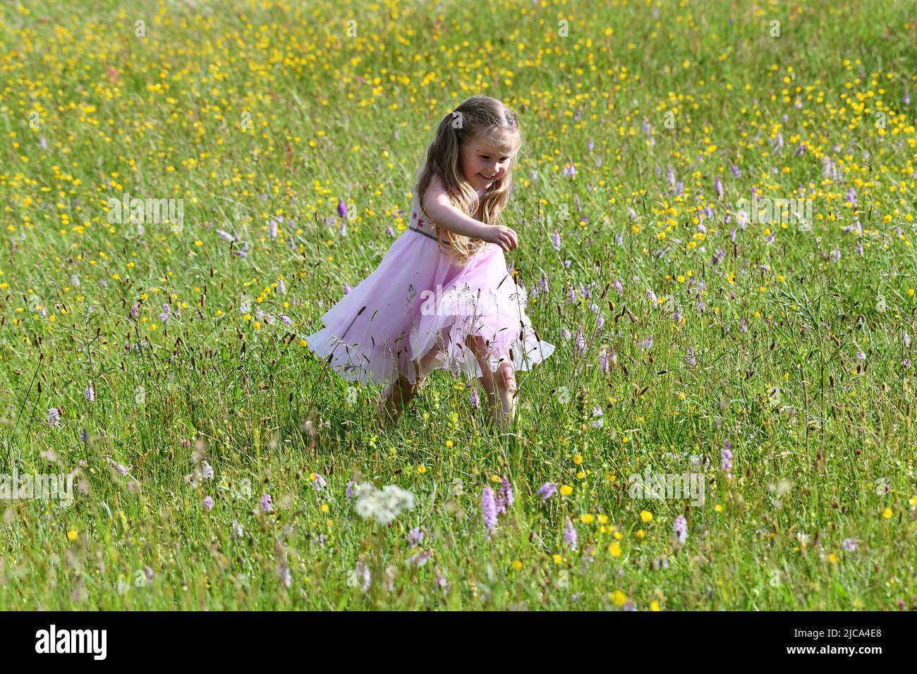 Bambina che gioca in un prato di fiori e erbe selvatiche, tra cui migliaia di orchidee selvatiche sulla riserva naturale Lodge Field Foto Stock