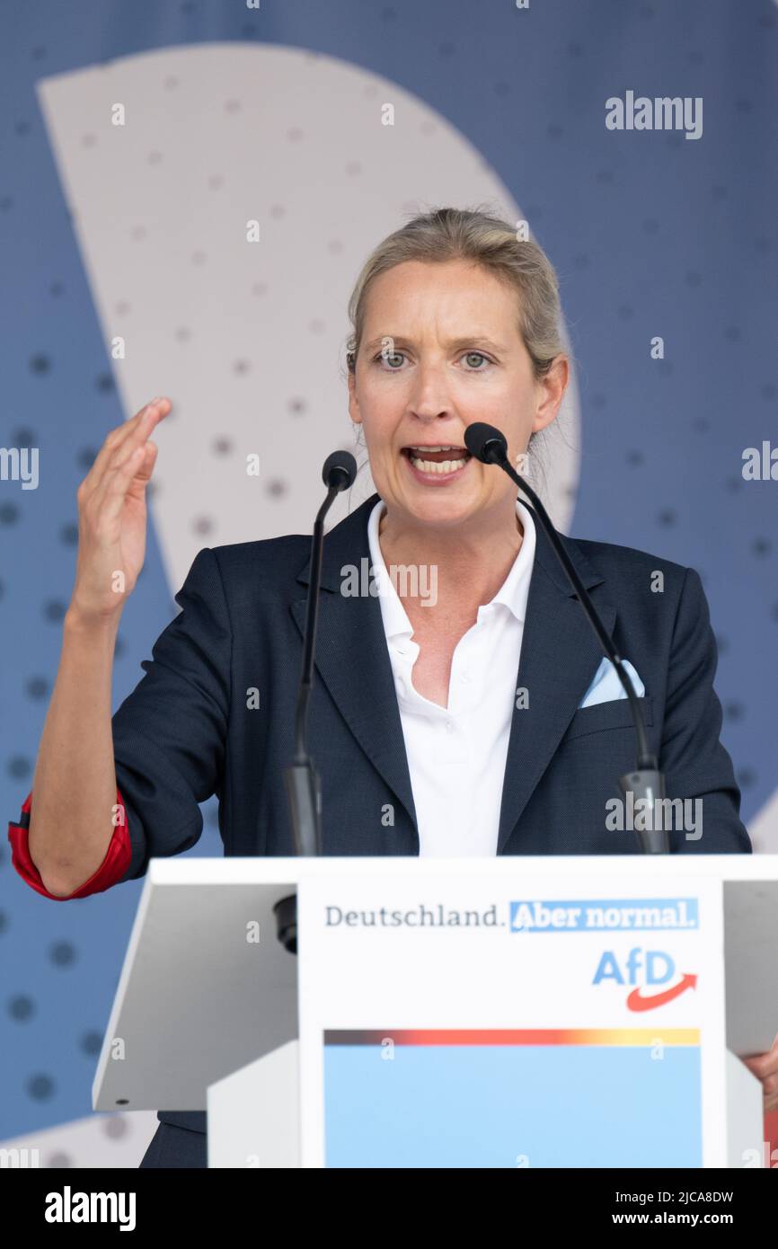 11 giugno 2022, Sassonia, Görlitz: Alice Weidel, leader del gruppo parlamentare AFD, parla alla campagna elettorale del suo partito a Marienplatz. L'occasione è l'elezione del consiglio distrettuale nel distretto di Görlitz il 12 giugno 2022. Foto: Sebastian Kahnert/dpa Foto Stock