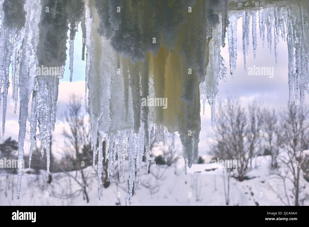 Paesaggio della neve in Estonia vicino al confine russo Foto Stock
