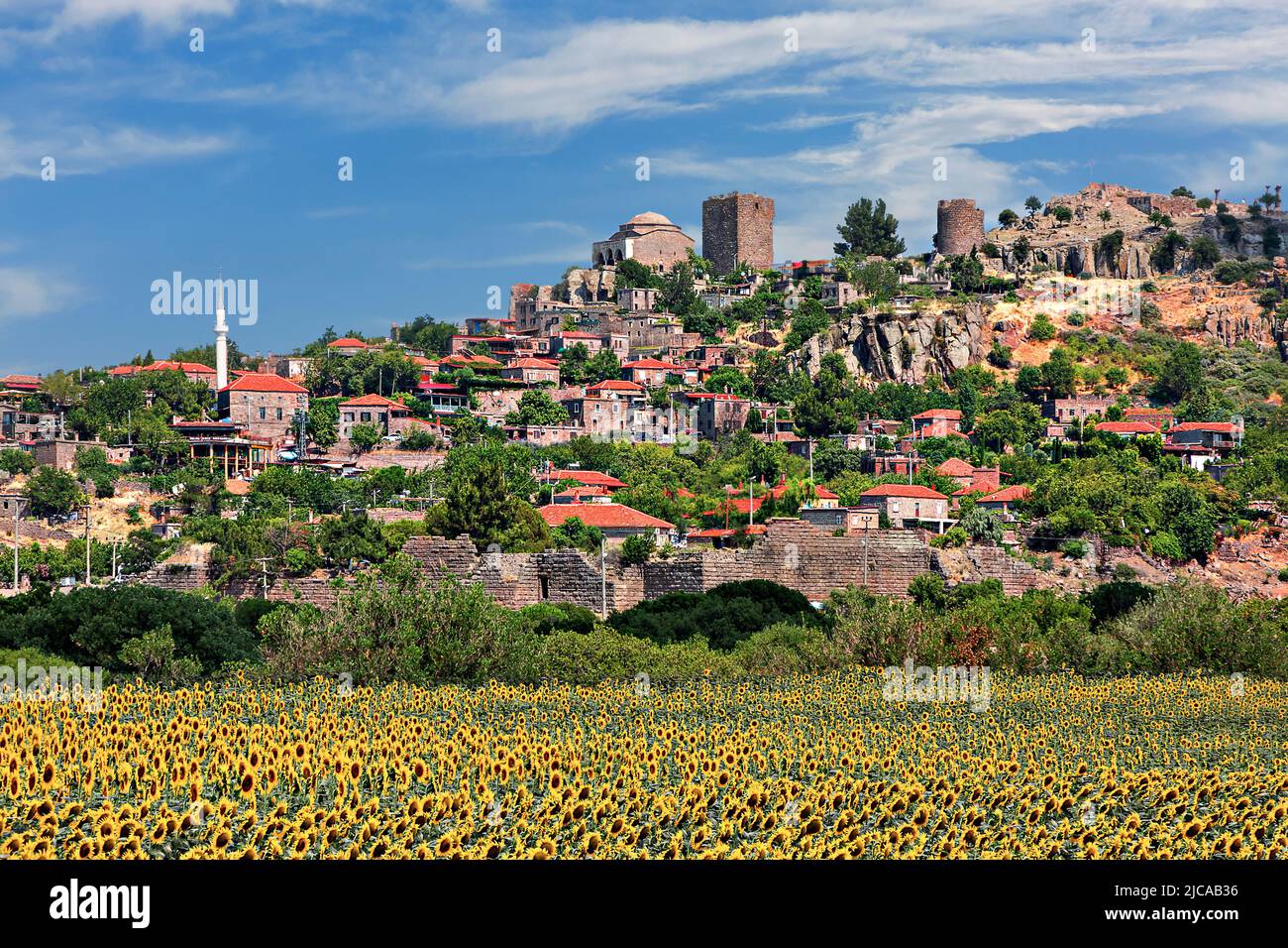 Campo di fiori di sole con la città vecchia di Assos a Canakkale, Turchia Foto Stock