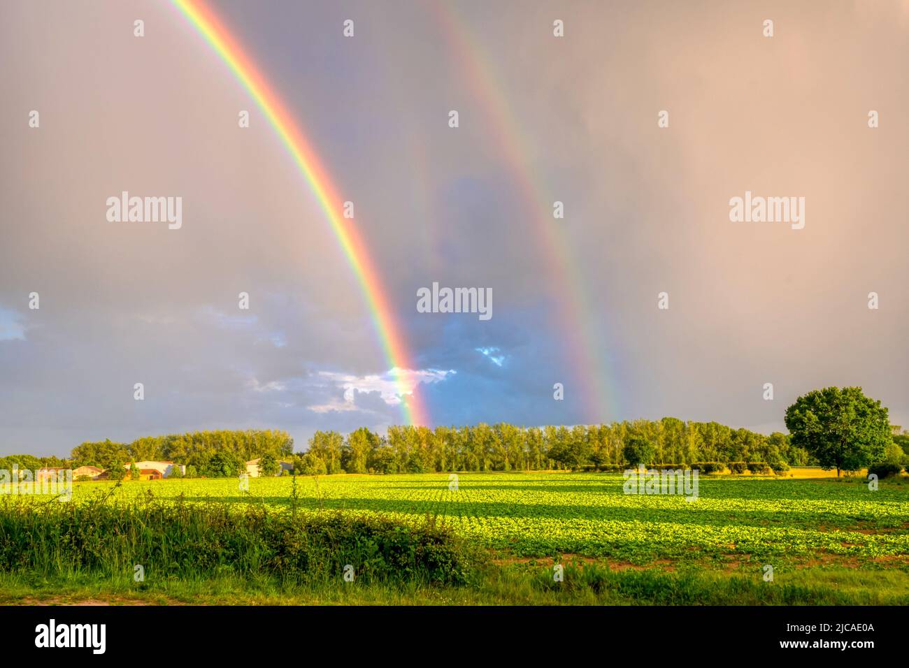 Doppio arcobaleno vivido sopra i terreni agricoli di Norfolk. Foto Stock