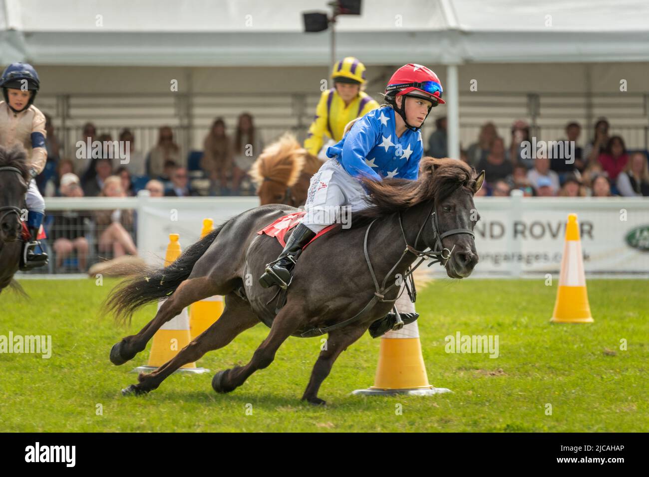 Wadebridge, Cornovaglia, Inghilterra. Sabato 11th Giugno 2022. Dopo un'assenza di due anni a causa di Covid, l'ultimo giorno del Royal Cornwall Show ha attirato grandi folle e ha visto il popolare evento inondato di caldo sole. Uno dei momenti salienti è stato lo Shetland Pony Grand National che ha fatto il suo debutto allo show. I jockeys che partecipano, tra i 8 e i 14 anni, si stanno sfidando per partecipare a uno dei 11 posti di qualificazione per il London International Horse Show all'Olympia di dicembre. La concorrenza aumenta i soldi per il Bob Champion Cancer Trust. Credit: Terry Mathews/Alamy Live News Foto Stock