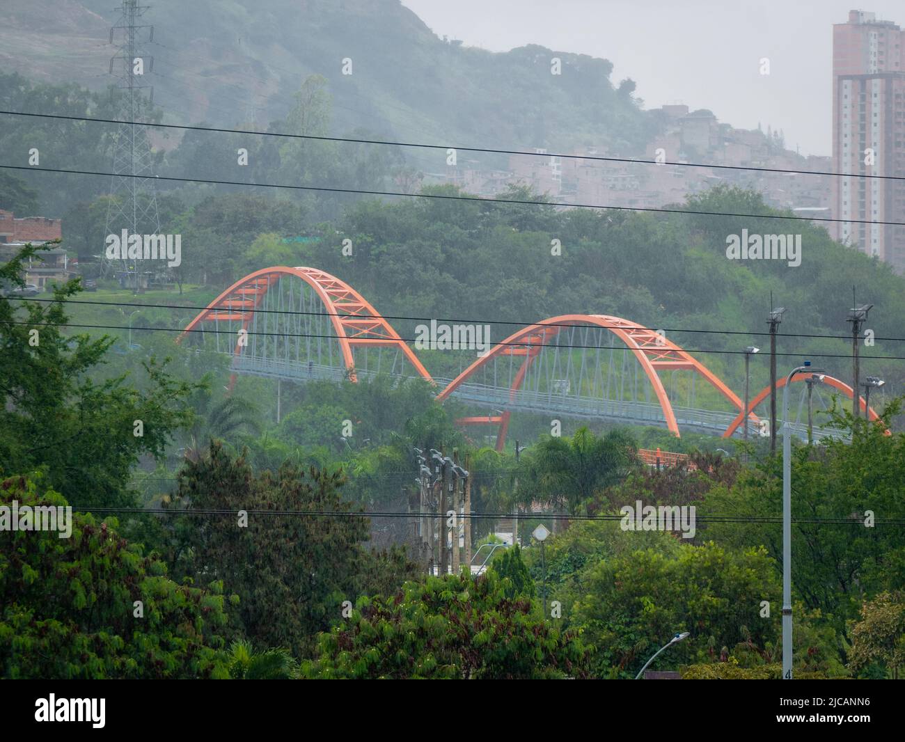 Orange sospensione ponti in mezzo a un lotto di vegetazione in un giorno piovoso Foto Stock