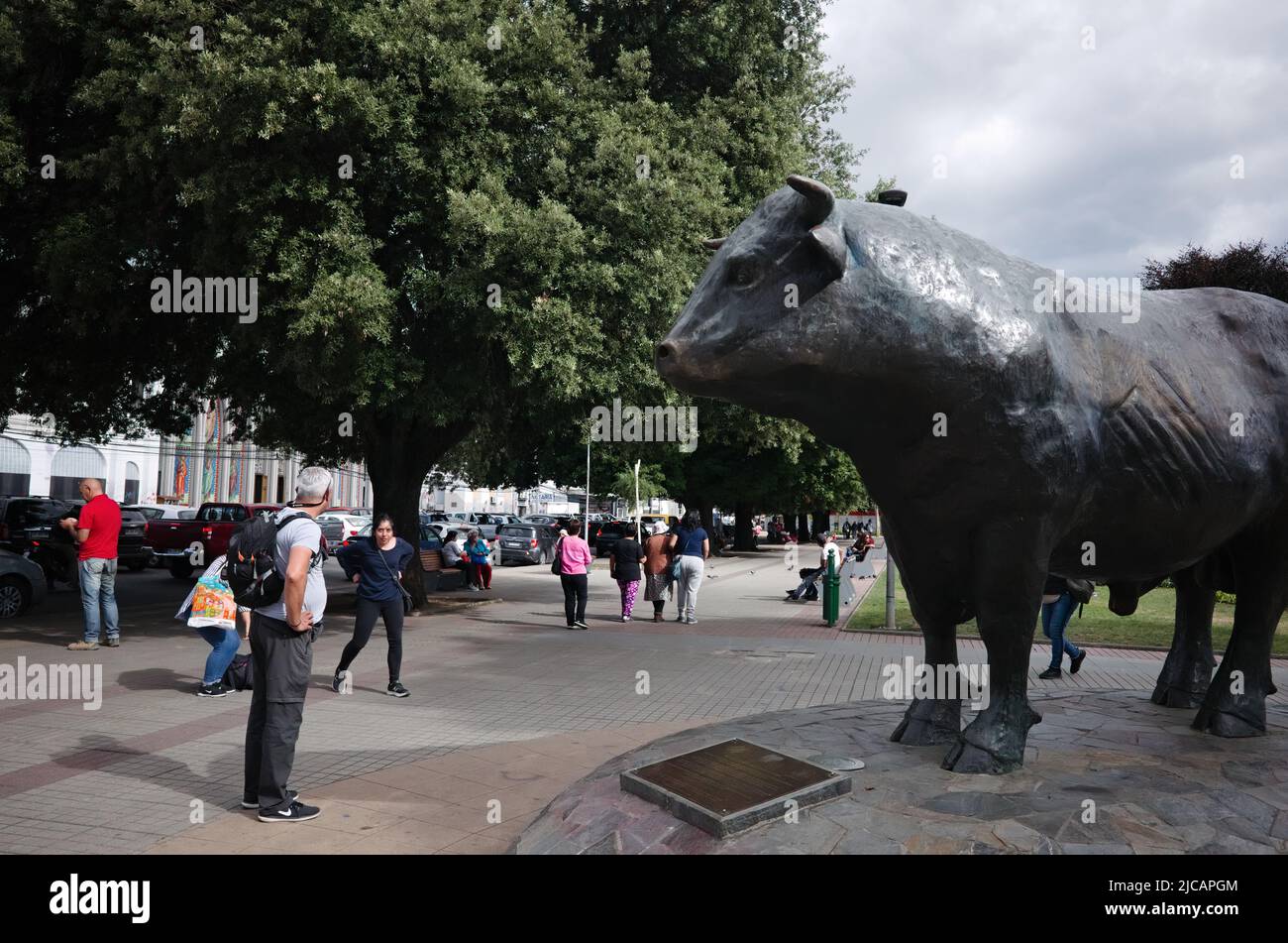 Osorno, Cile - Febbraio 2020: Monumento in metallo al toro in Plaza de Armas de Osorno dedicato alla cultura e alle tradizioni della zootecnia Foto Stock