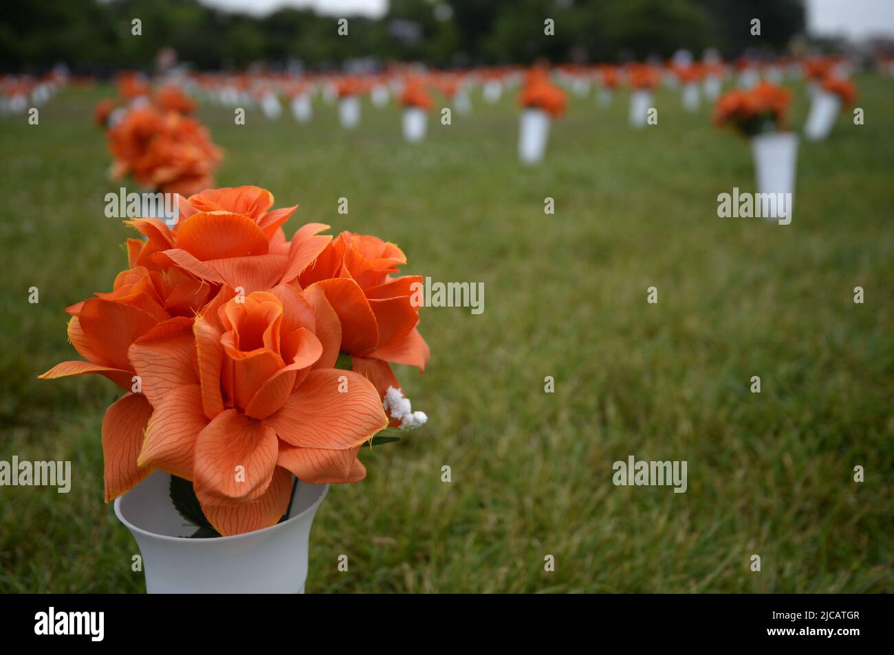 Washington, Stati Uniti. 11th giugno 2022. I fiori d'arancio fiancheggiati in vasi sul National Mall rappresentano l'aumento delle vittime di violenza delle armi negli ultimi anni a Washington, DC sabato 11 giugno 2022. Foto di Bonnie Cash/UPI Credit: UPI/Alamy Live News Foto Stock