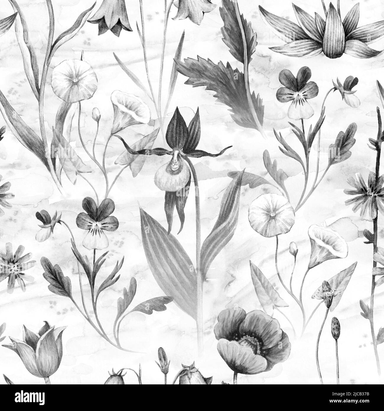 Motivo floreale senza cuciture acquerello con campo selvatico e piante di prato. Illustrazione in bianco e nero. Foto Stock
