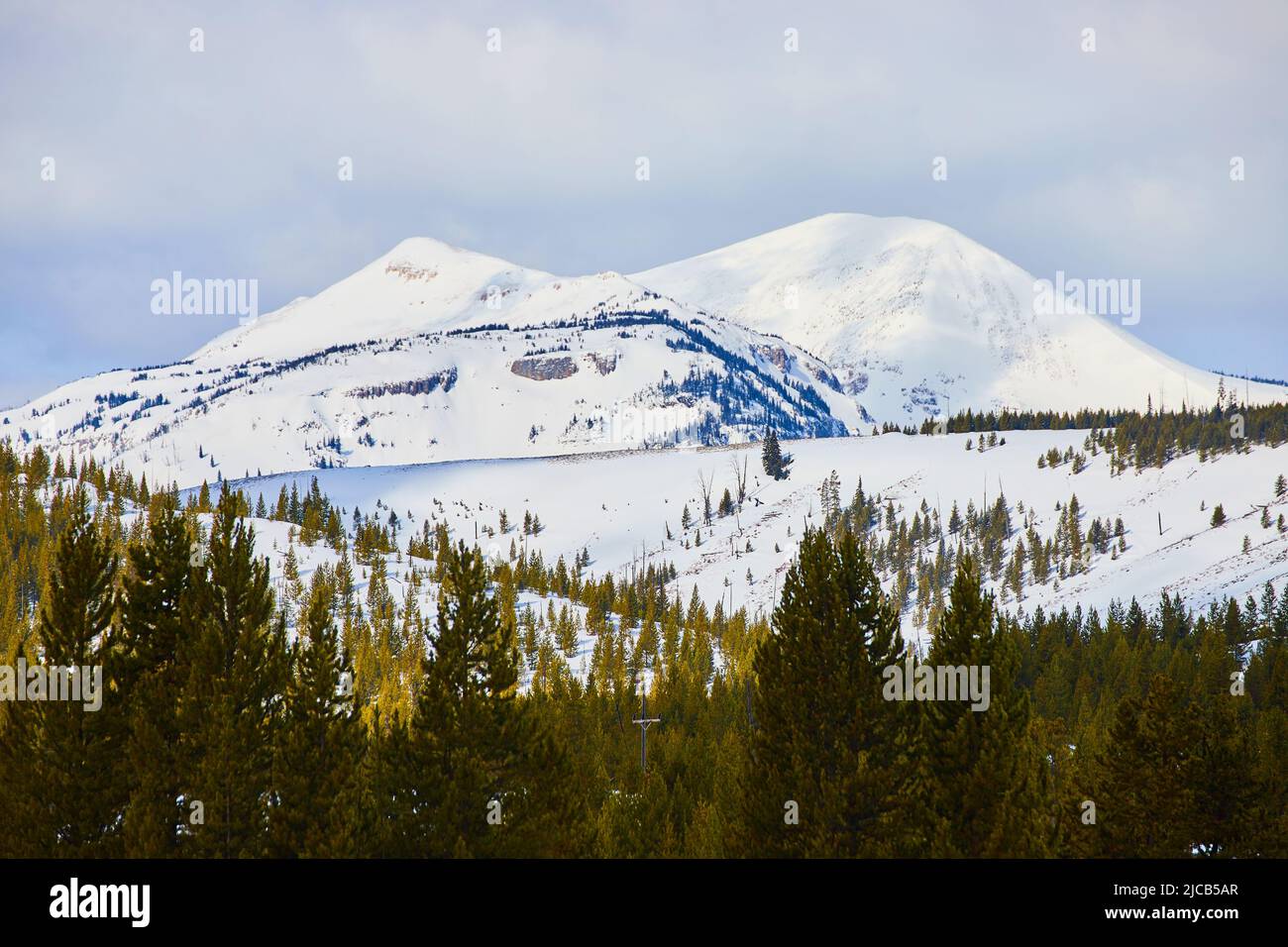 Cima di montagne innevate con alberi di pino in primo piano Foto Stock