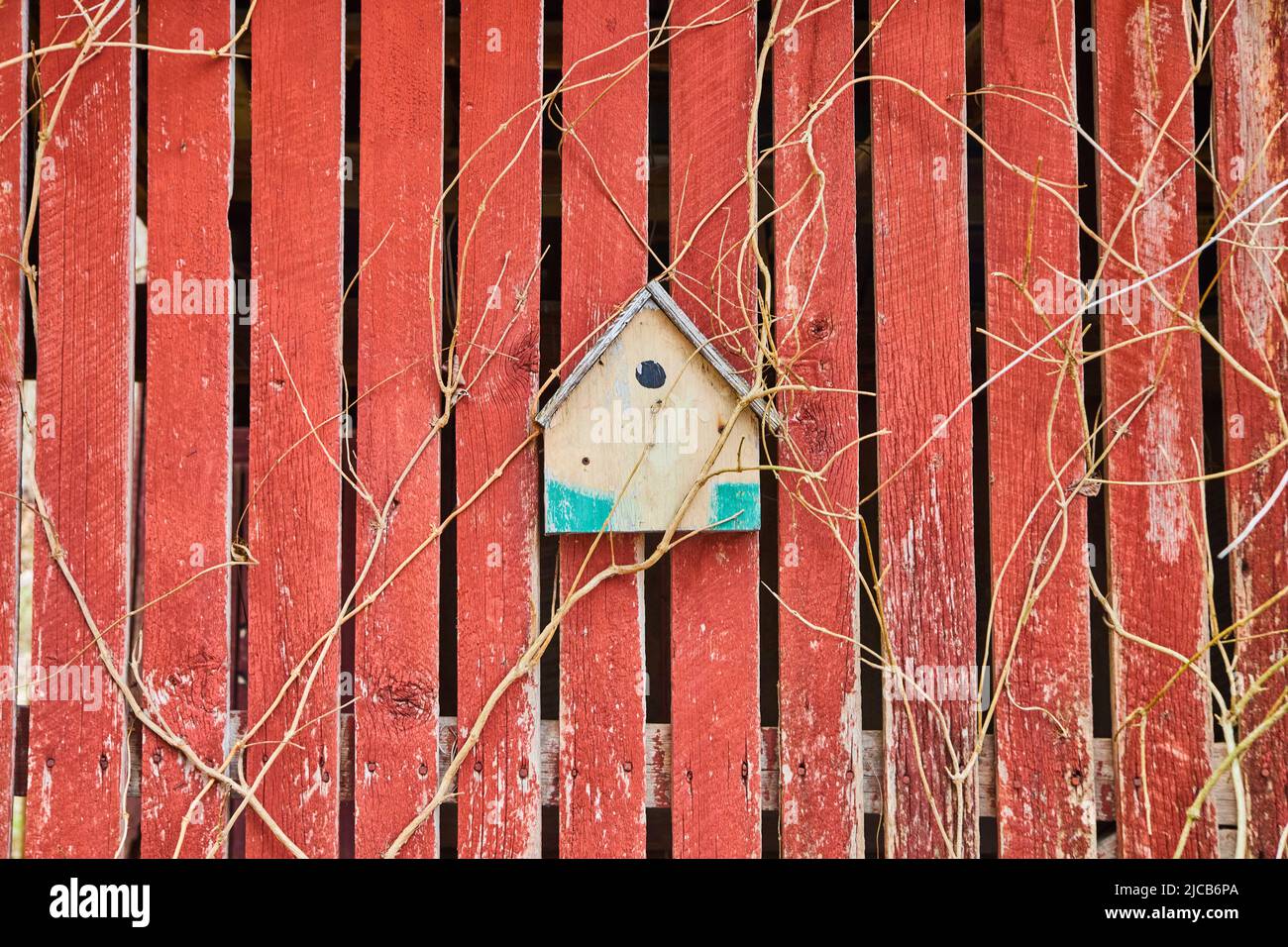 Piccolo birdhouse su pannelli di legno rosso sbiadito con viti Foto Stock