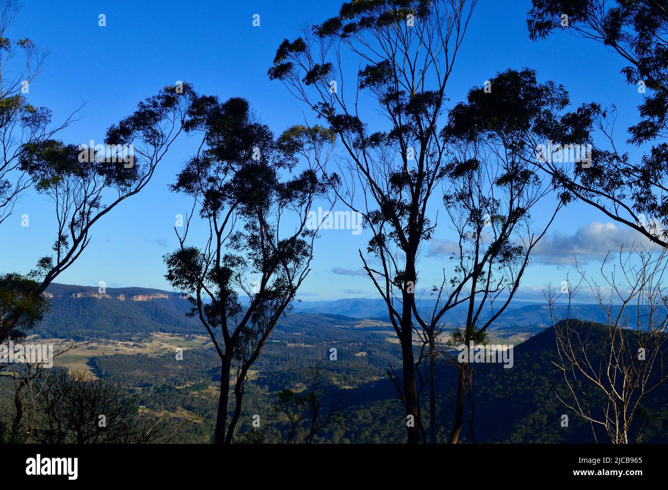 Una vista dal punto di osservazione del Passo Mitchell al Monte Victoria nelle Blue Mountains dell'Australia Foto Stock