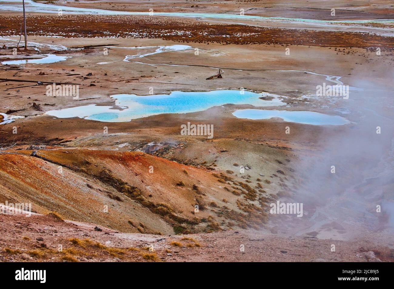 Piscine al Norris Basin con vapore e acqua acida a Yellowstone Foto Stock