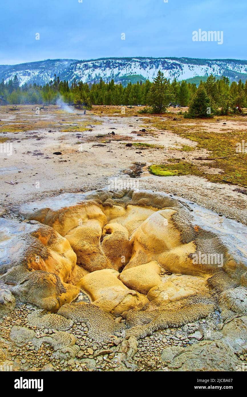 Splendida apertura geyser a Yellowstone circondato da colline invernali Foto Stock
