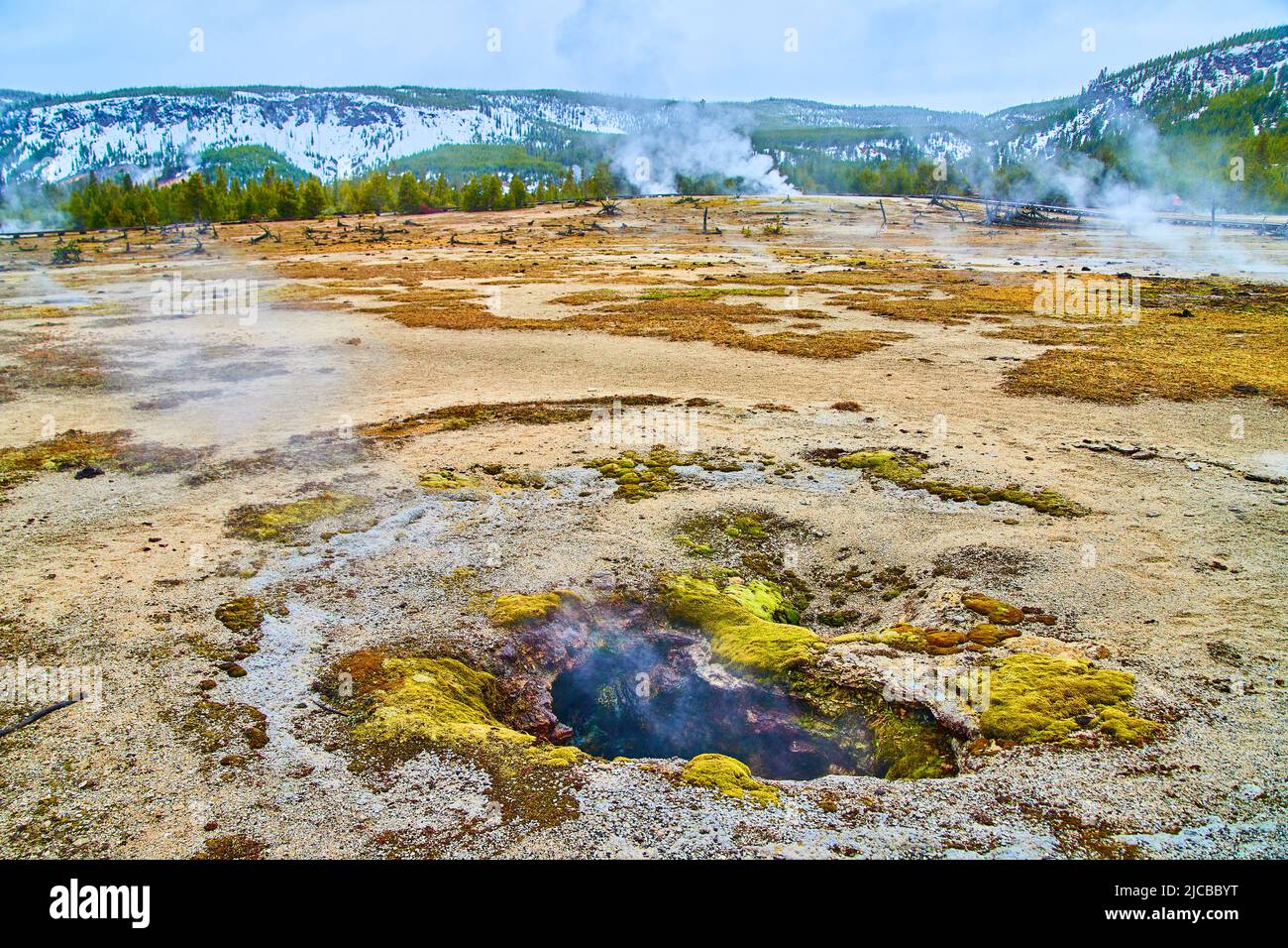 Lo zolfo cremoso fuoriesce dal foro nel bacino di Yellowstone Foto Stock