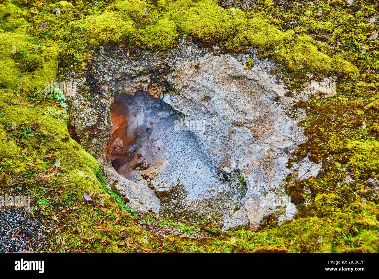 Caratteristica termale a Yellowstone in bacino con motivi di muschio Foto Stock