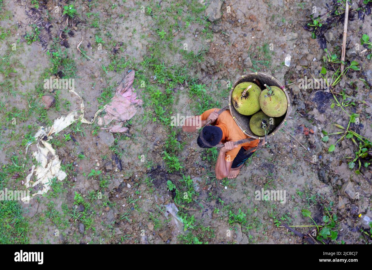 Jackfruit è in corso sulla testa.questa foto è stata presa da Rangamati, Chittagong, Bangladesh. Foto Stock