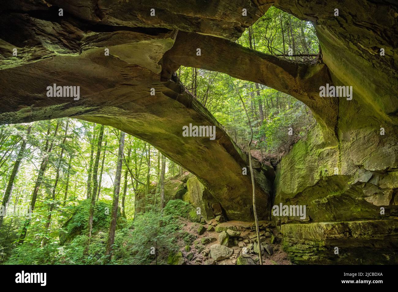 Ponte di arenaria lungo 148 metri e alto 60 metri, il più grande ponte naturale ad est delle Montagne Rocciose, presso il Natural Bridge Park nella contea di Winston, Alabama. (USA) Foto Stock