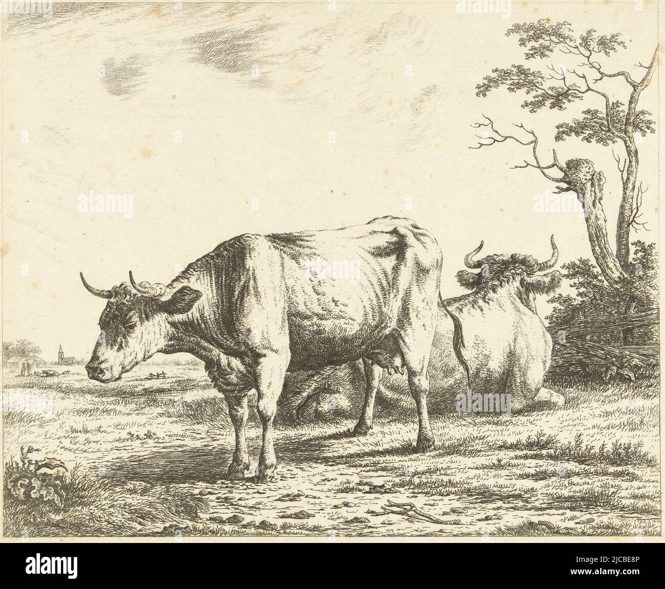 Due mucche in pascolo, stampatore: Johannes van Cuylenburgh, (menzionato sull'oggetto), Johannes van Cuylenburgh, Paesi Bassi, 1820, carta, incisione, h 188 mm x l 230 mm Foto Stock
