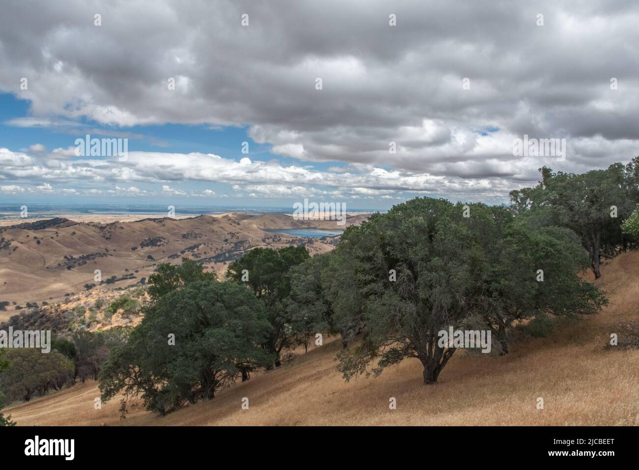 Una vista del paesaggio collinare nella regione orientale della baia di San Francisco in California - querce, colline e nuvole nella natura selvaggia della California. Foto Stock