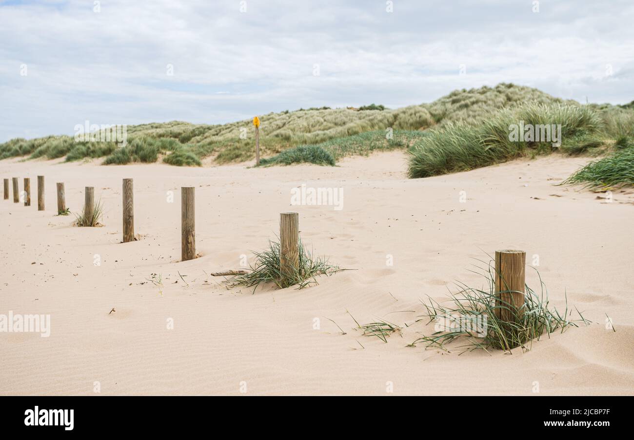 Pali di legno sulla spiaggia di Ainsdale segnano il perimetro del parcheggio utilizzato dal pubblico. Foto Stock