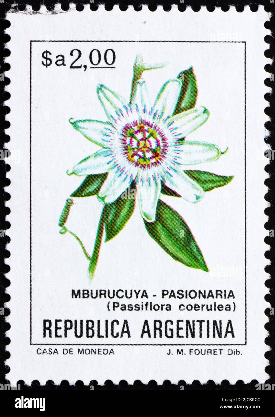 ARGENTINA - CIRCA 1983: Un francobollo stampato in Argentina mostra Blue Passion Flower, Passiflora caerulea, circa 1983 Foto Stock