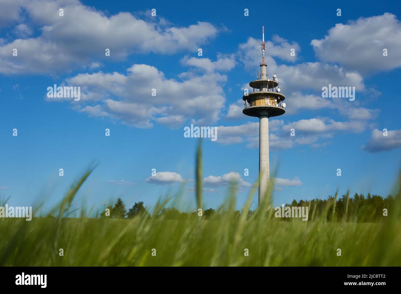 Stazione meteorologica con vari strumenti di misurazione, campo di orzo alto (Hordeum vulgare), singoli stocchi sporgono dalla torre. Cielo blu con grigio Foto Stock