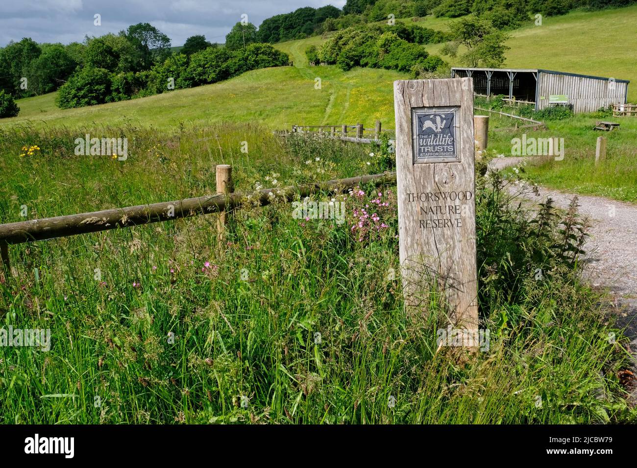 Riserva naturale di Thorswood Foto Stock