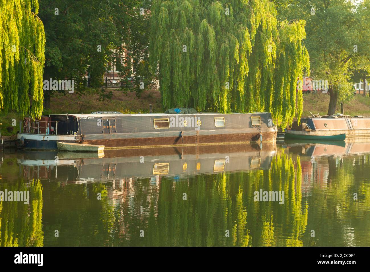 Primavera alba sul fiume Cam a Cambridge, Inghilterra. Foto Stock