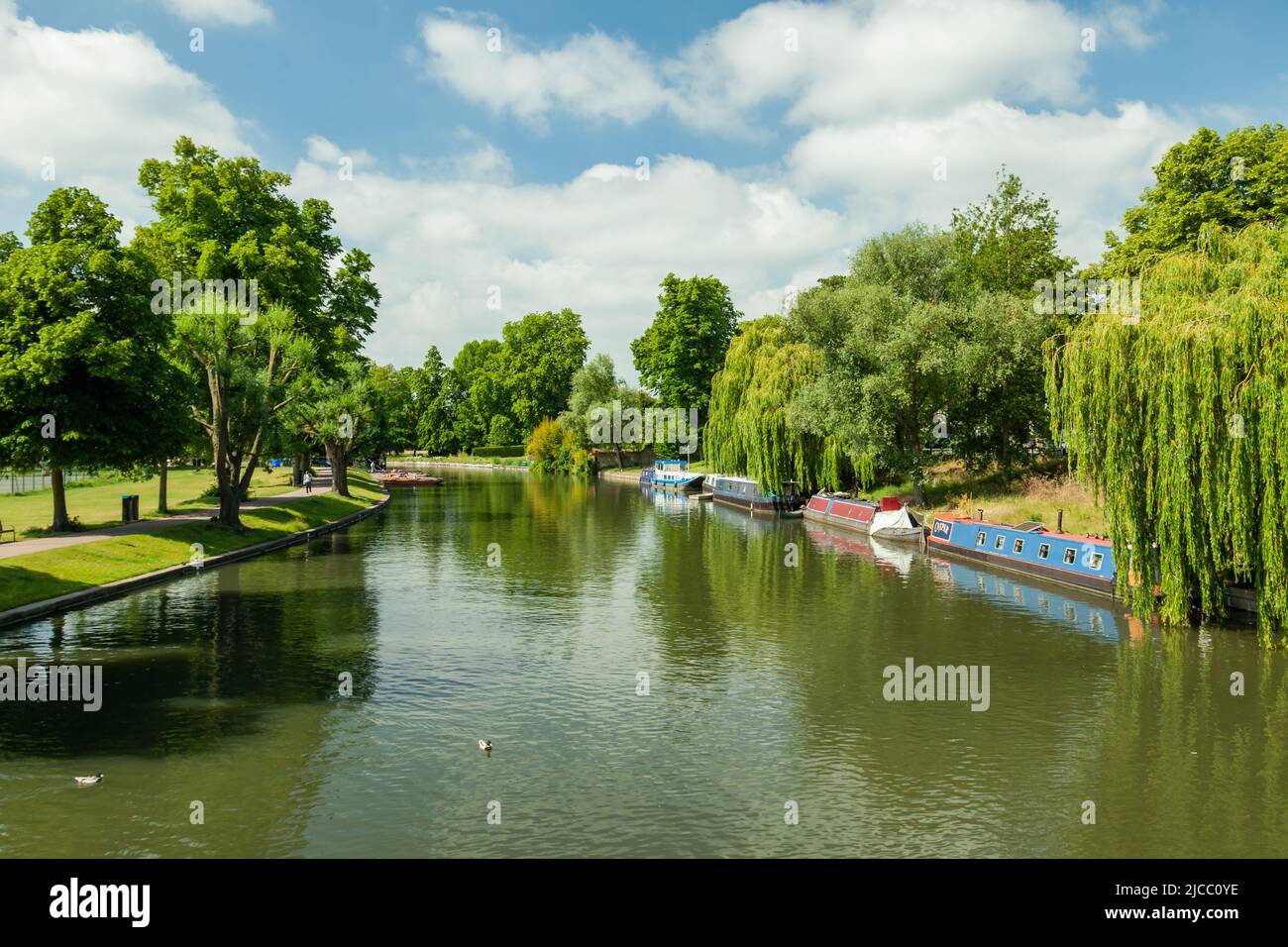 Primavera a mezzogiorno sul fiume Cam a Cambridge, Inghilterra. Foto Stock