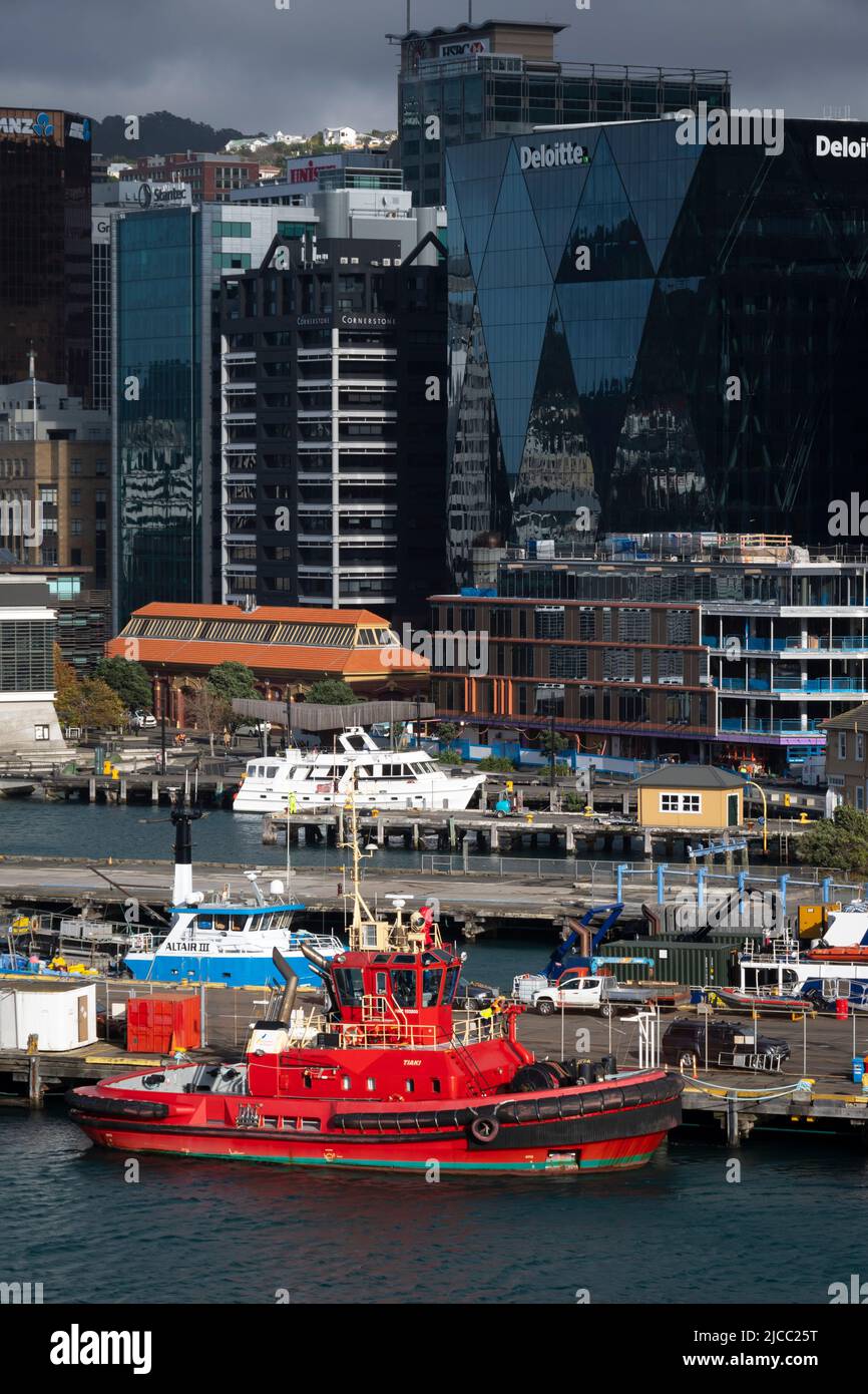 Alti edifici sul lungomare, Wellington, Isola del Nord, Nuova Zelanda Foto Stock