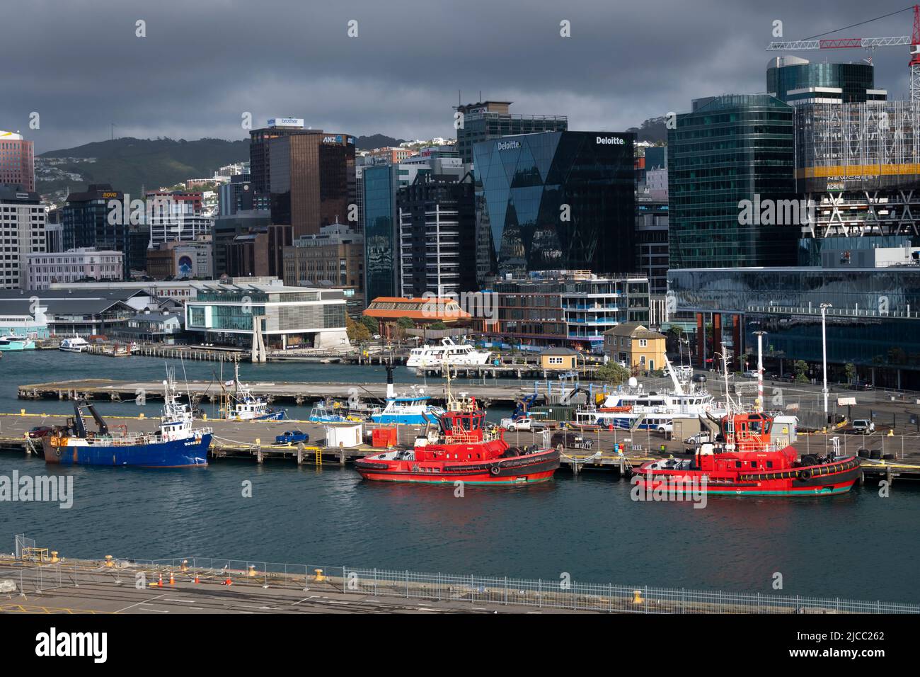 Alti edifici sul lungomare, Wellington, Isola del Nord, Nuova Zelanda Foto Stock