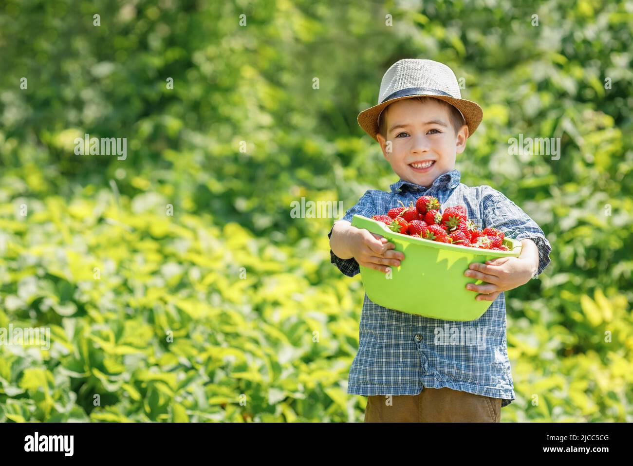ragazzo divertente bambino che tiene grande ciotola piena di fragole sul giardino Foto Stock