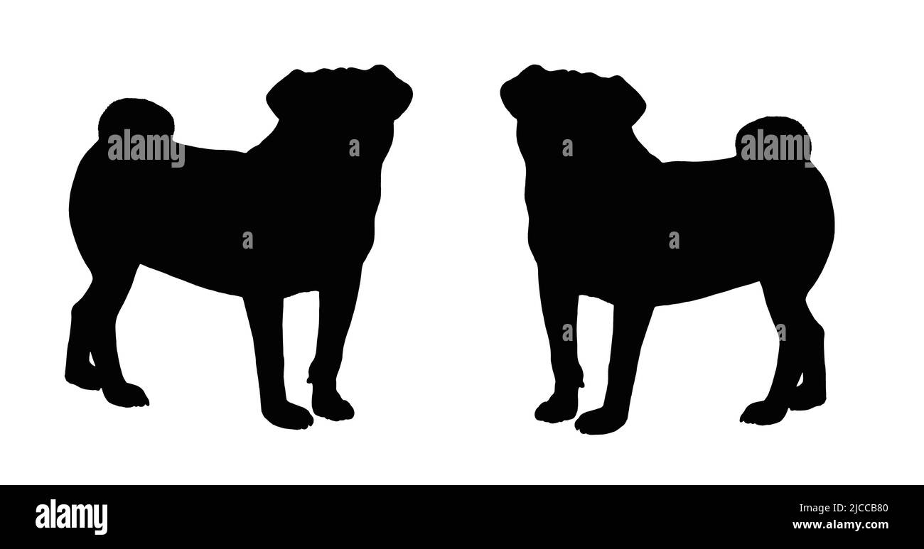 Disegno di silhouette PUG. Illustrazione isolata con un cane cinese. Foto Stock