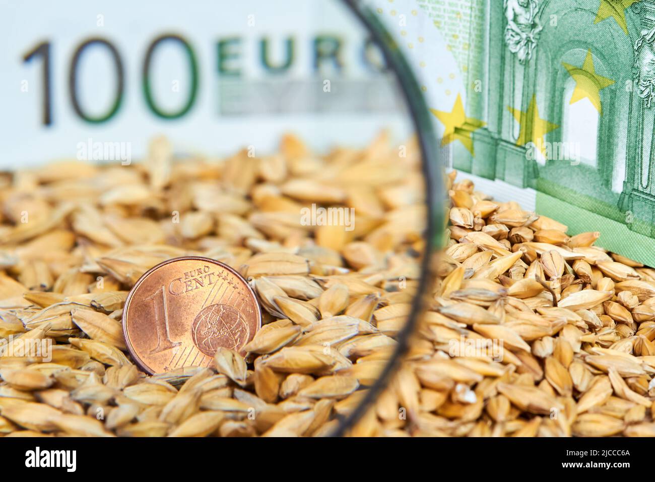 Primo piano di una moneta da un centesimo in cereali d'orzo sullo sfondo di un centinaio di euro di conto Foto Stock