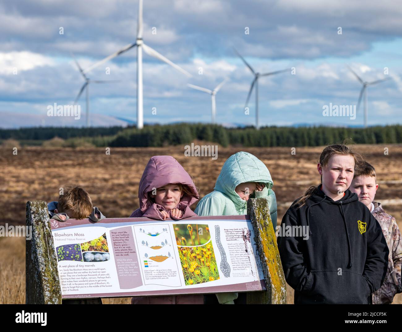 I bambini della scuola fredda al bordo di informazioni, la riserva naturale nazionale di Blawhorn Moss, Lothian occidentale, Scozia, Regno Unito Foto Stock