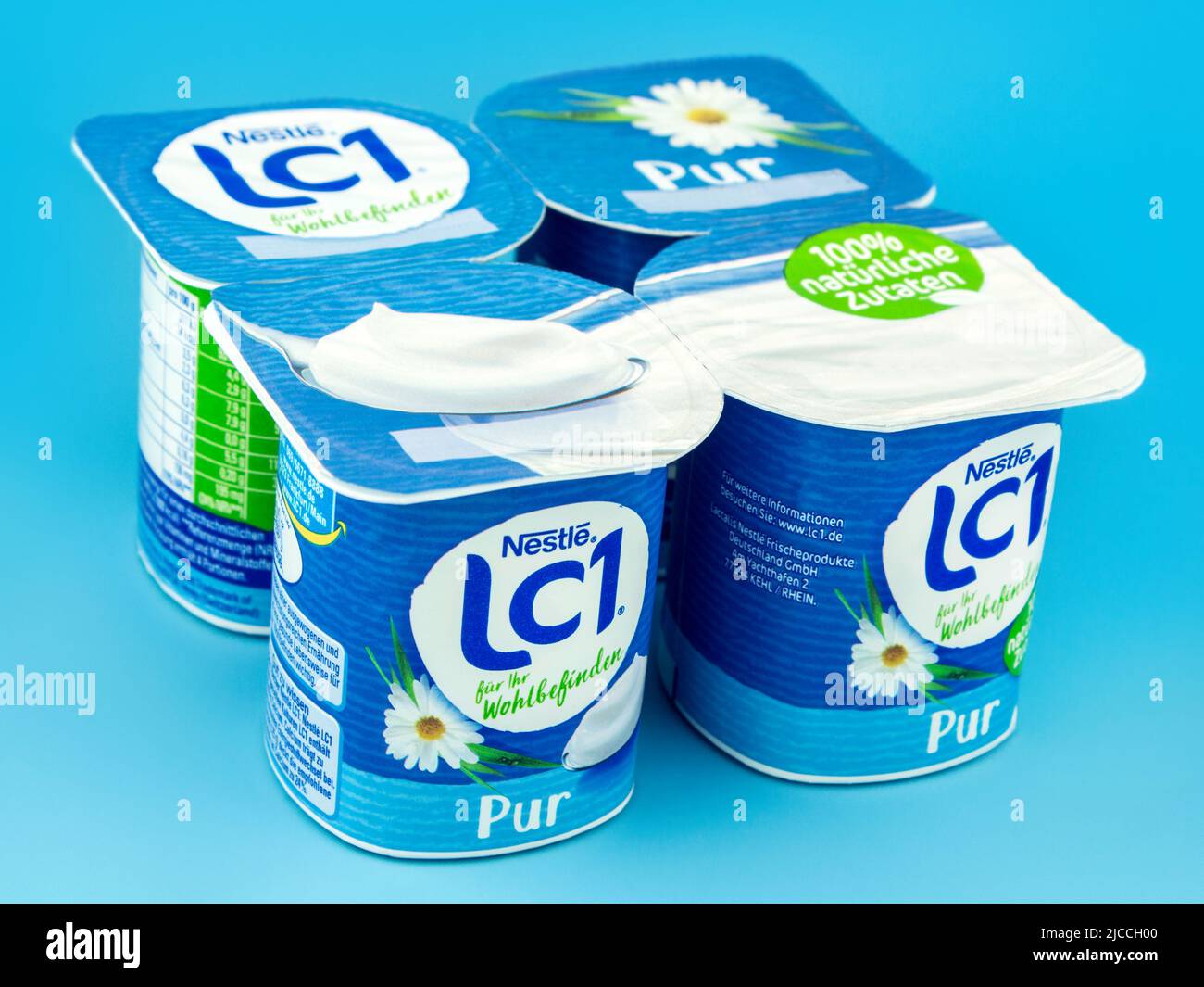 4 LC1 Joghurt pur von Nestle auf blauem Hintergrund Foto Stock