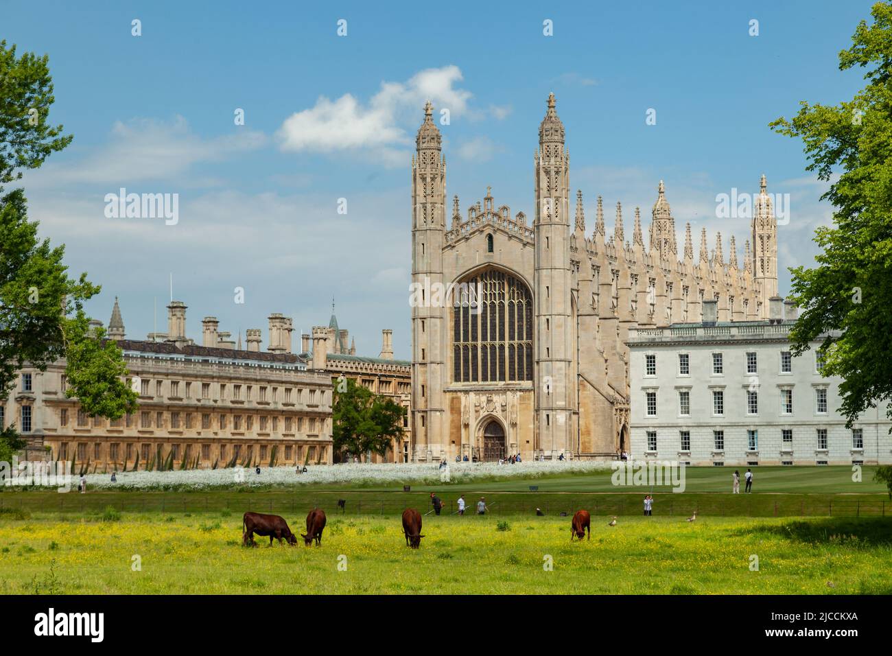 Il King's College si è visto dalle spalle a Cambridge, Inghilterra. Foto Stock